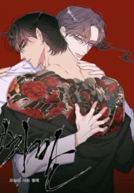 4a2dbdd9b9267e8ce017aa7b118cfe00a14b374e_600_600_81565