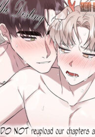 the-destiny_thumbnail