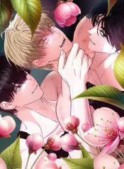 519772090_122248250738238508_2022693375127137586_n