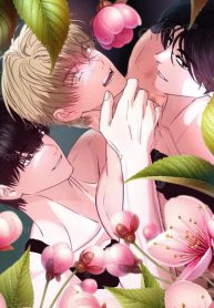 519772090_122248250738238508_2022693375127137586_n