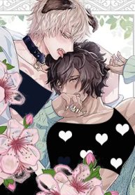 6991ce79dc4a62b0f6017a1ba56ce3b793a8326a_340_476_39014